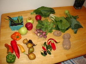 CSA Fall Bounty - Week 1